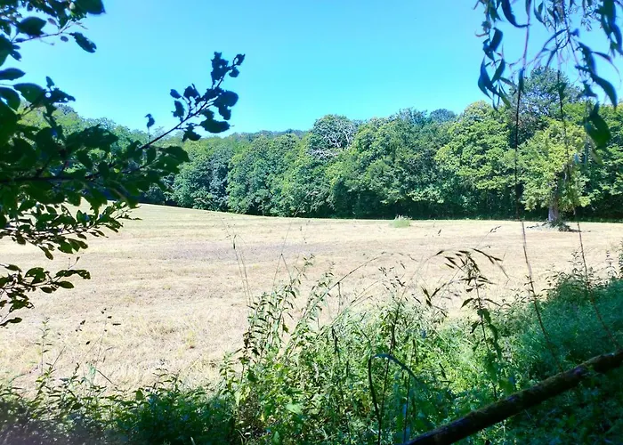 Rêves De Gamins, Proche Du Pôle Européen Et Du Circuit Des 24h Sargé Les Le Mans