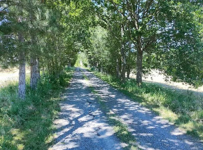 Hébergement de vacances Rêves De Gamins, Proche Du Pôle Européen Et Du Circuit Des 24h Sargé Les Le Mans