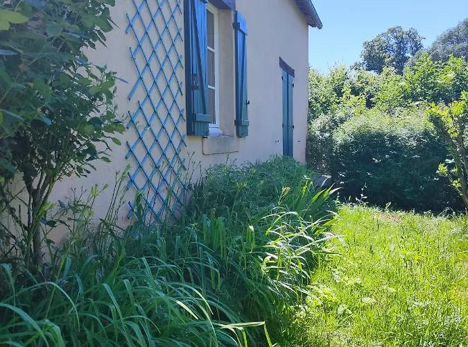 Rêves De Gamins, Proche Du Pôle Européen Et Du Circuit Des 24h * Sargé Les Le Mans