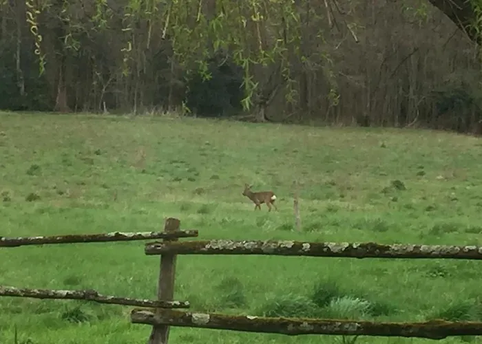 Rêves De Gamins, Proche Du Pôle Européen Et Du Circuit Des 24h Hébergement de vacances Sargé Les Le Mans