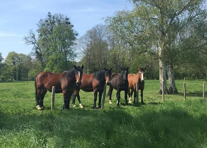 Rêves De Gamins, Proche Du Pôle Européen Et Du Circuit Des 24h
