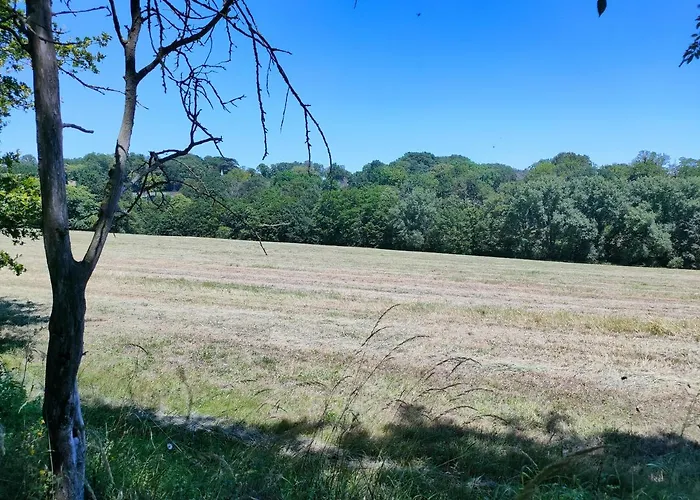 Rêves De Gamins, Proche Du Pôle Européen Et Du Circuit Des 24h *