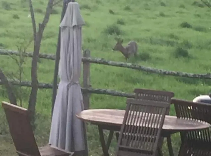 Rêves De Gamins, Proche Du Pôle Européen Et Du Circuit Des 24h Hébergement de vacances *